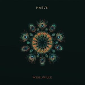 Haevn - Wide Awake  CD