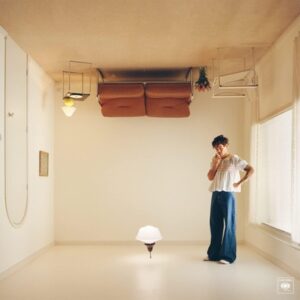 Harry Styles - Harry's House   LP