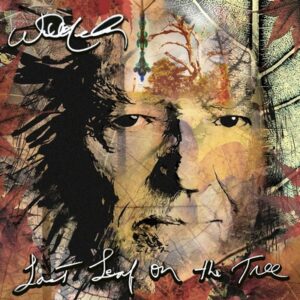 Willie Nelson - Last Leaf On The Tree (coloured) 2LP