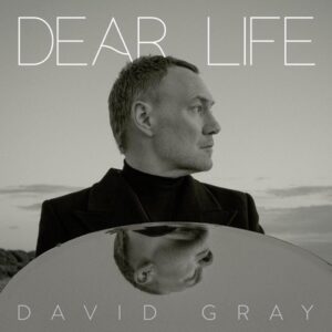 David Gray - Dear Life 2LP