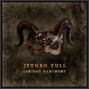 Jethro Tull - Curious Ruminant  LP